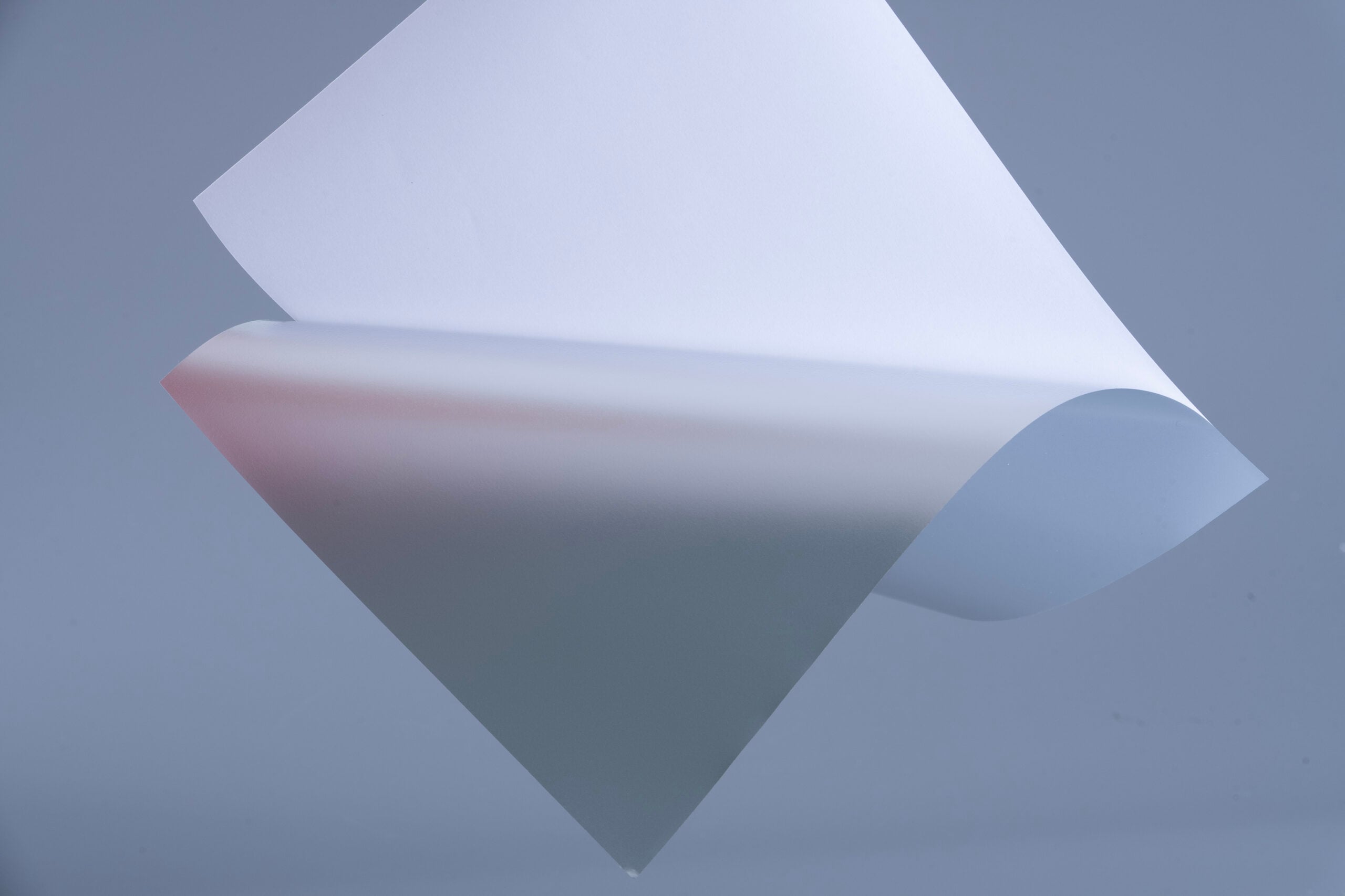 Polyester Label Application Process
