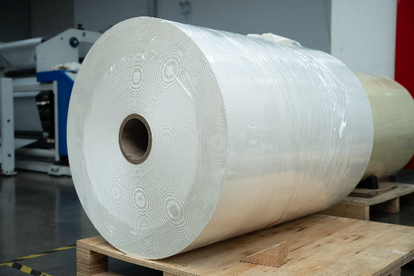 Synthetic Paper Finished Products Storage View 10