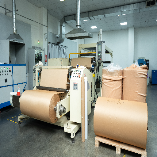 Self Adhesive Film Manufacturing Line 6